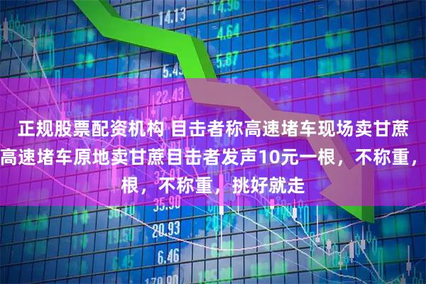 正规股票配资机构 目击者称高速堵车现场卖甘蔗几百根，高速堵车原地卖甘蔗目击者发声10元一根，不称重，挑好就走